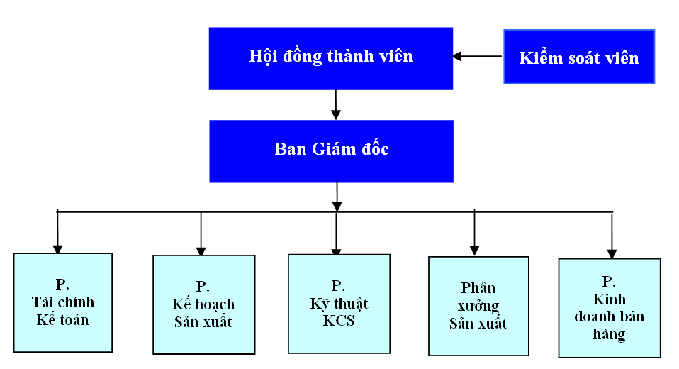 Các mô hình thương mại điện tử phổ biến tại Việt Nam